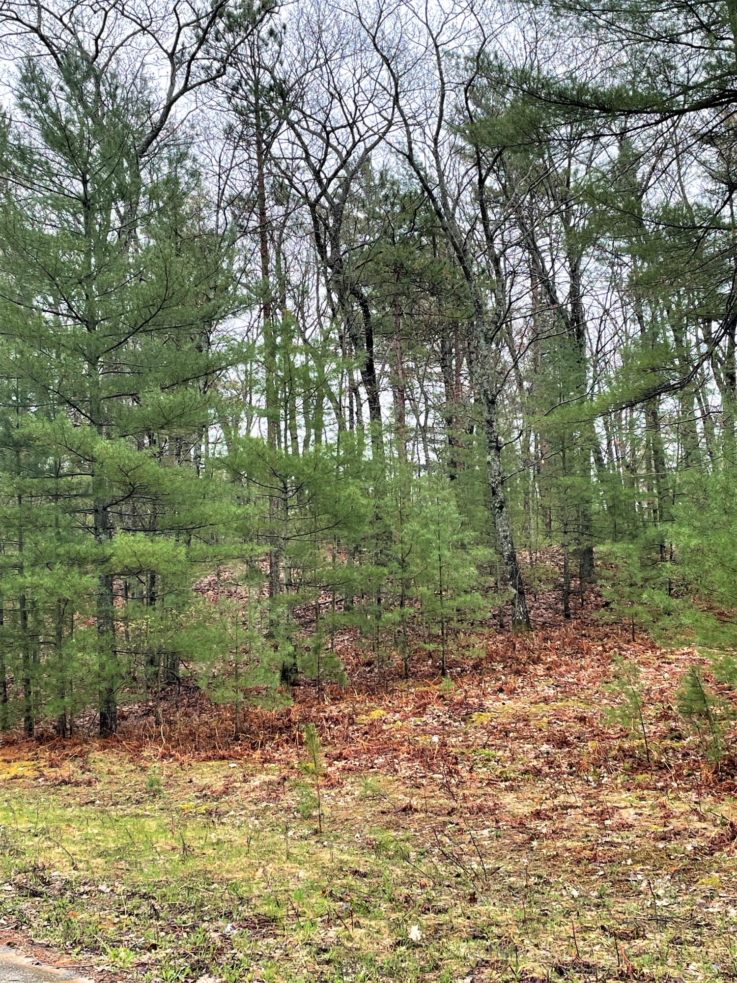 Indian River, Michigan 49749, United States, ,Land,Active,57321