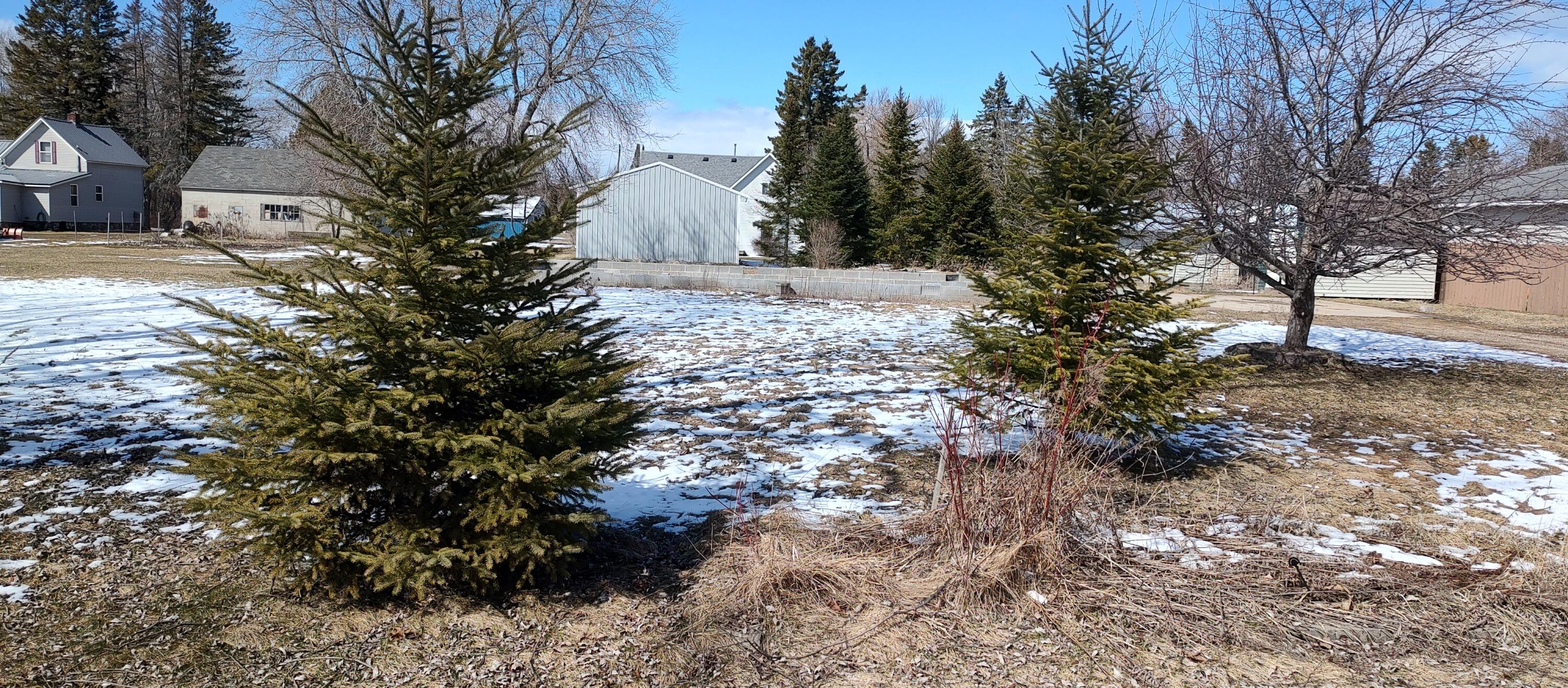 Cheboygan, Michigan 49721, United States, ,Land,Contingent,62096