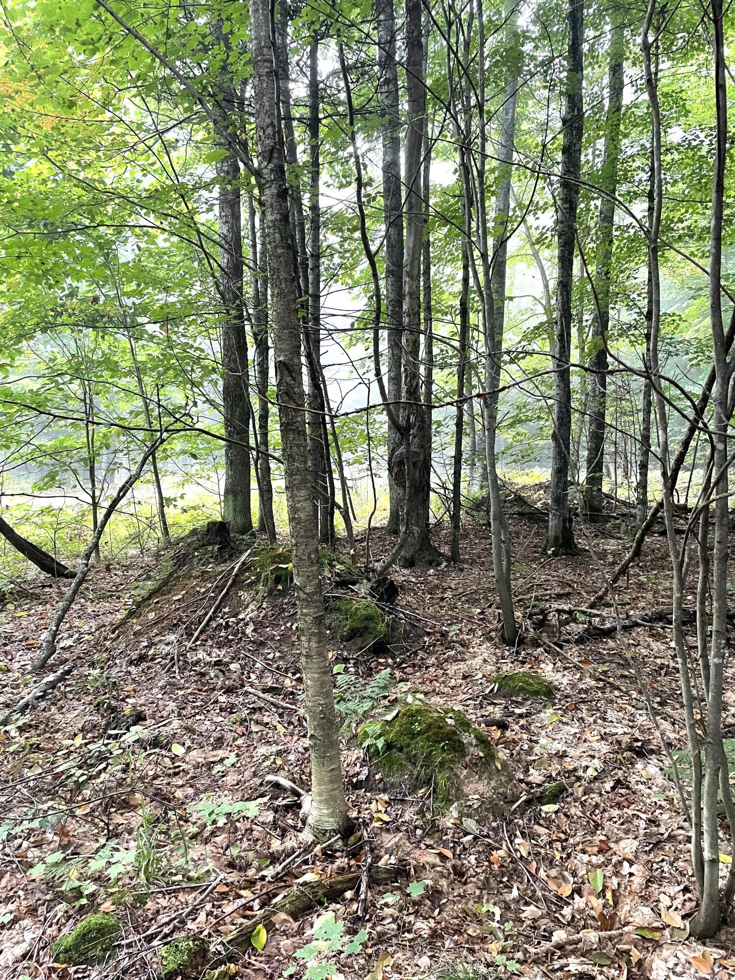 McMillan, Michigan 49853, United States, ,Land,Active,42124