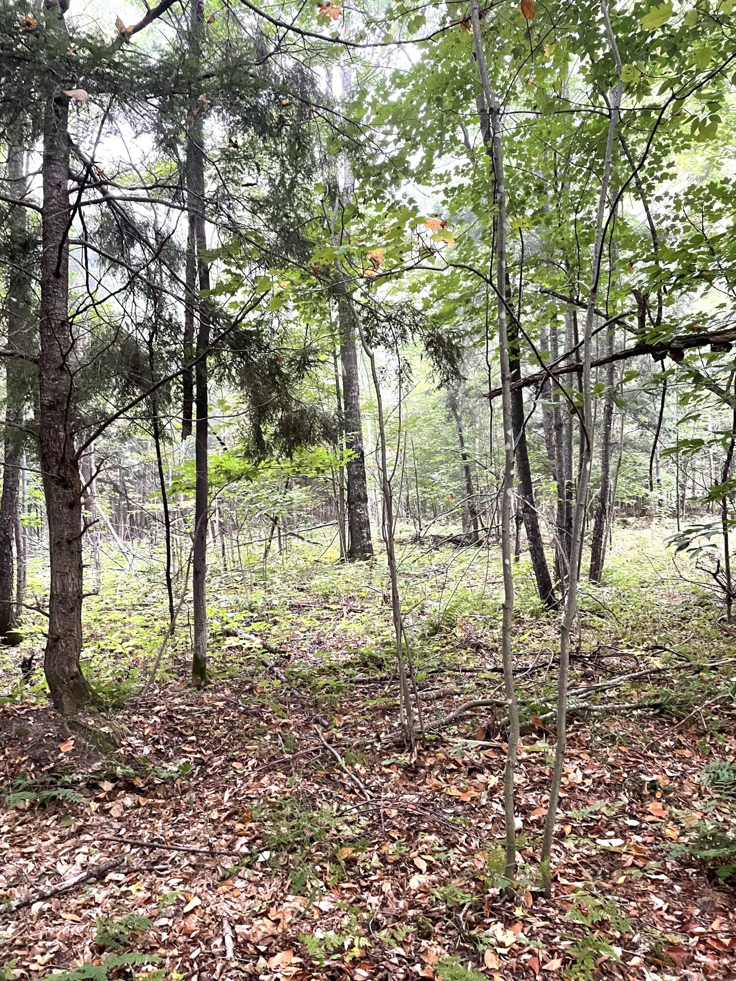 McMillan, Michigan 49853, United States, ,Land,Active,42124