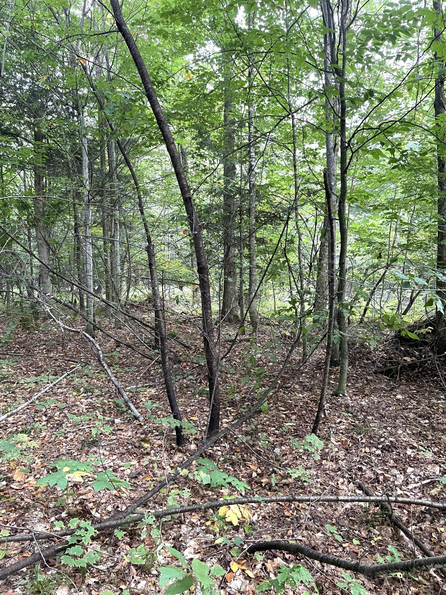 McMillan, Michigan 49853, United States, ,Land,Active,42124