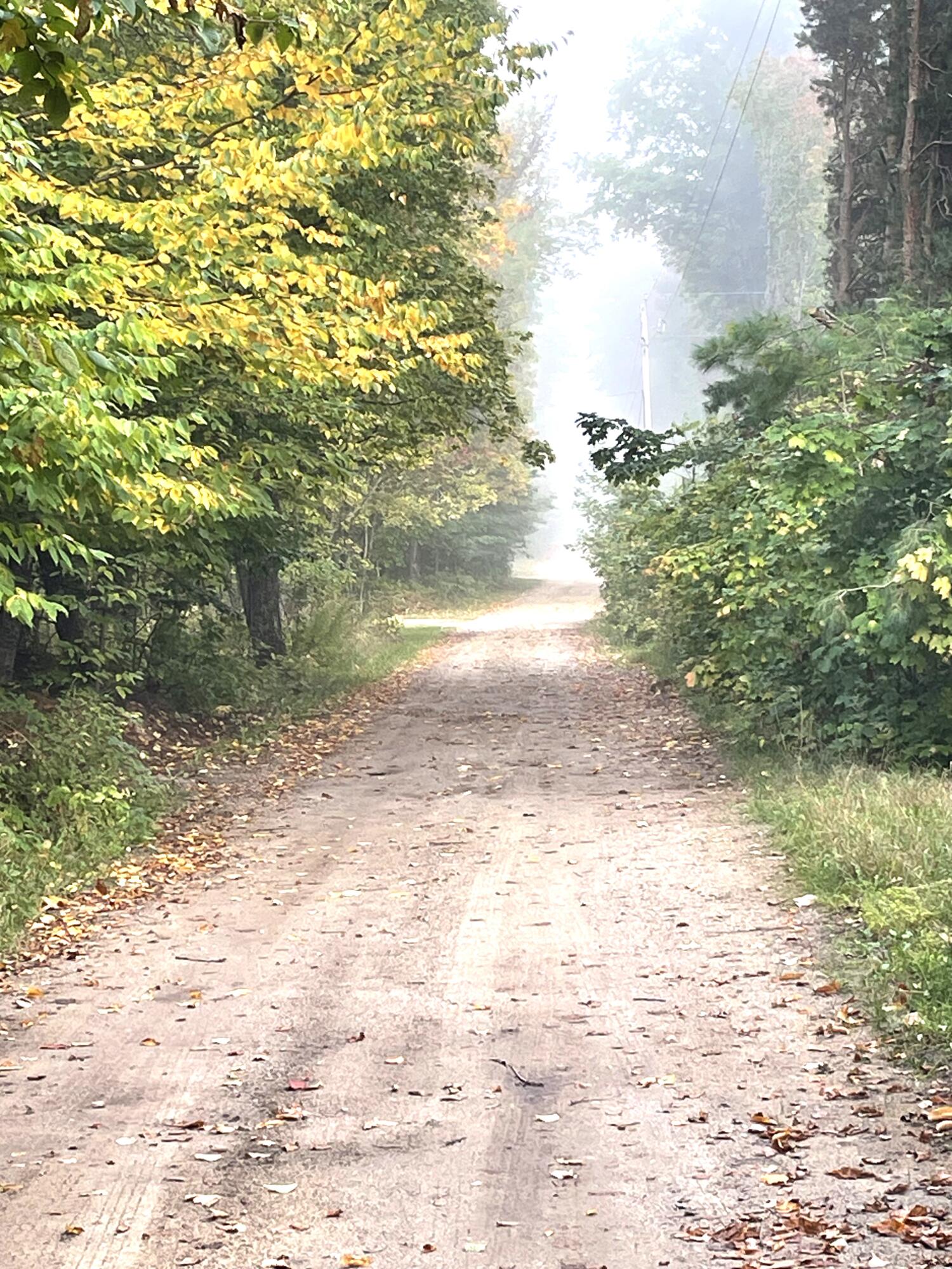 McMillan, Michigan 49853, United States, ,Land,Active,42124