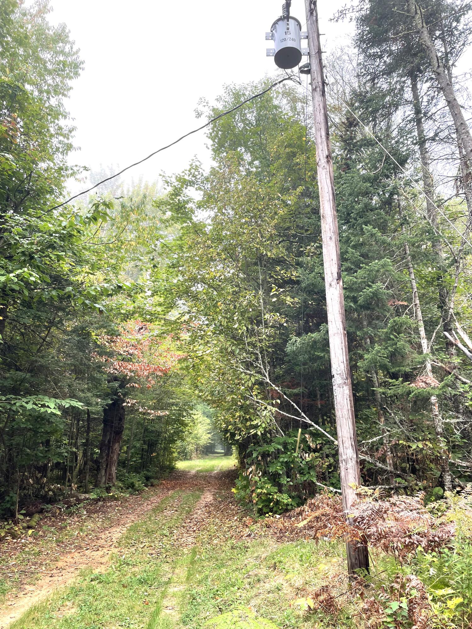 McMillan, Michigan 49853, United States, ,Land,Active,42124