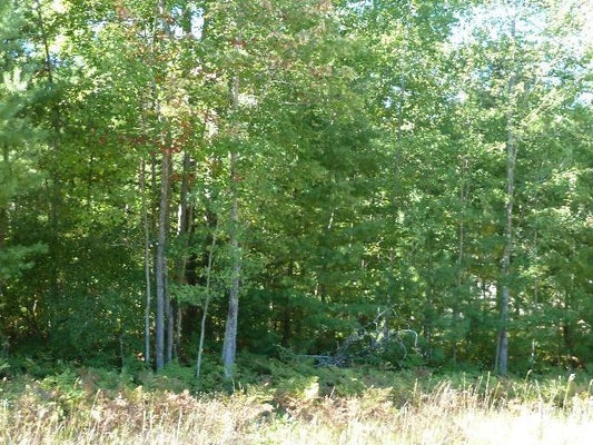 2228 SOMMERSET DR, ALPENA, MI 49707 - Image a2ee6d4e5bfdc776c4ab530c92e90e07/1505759109