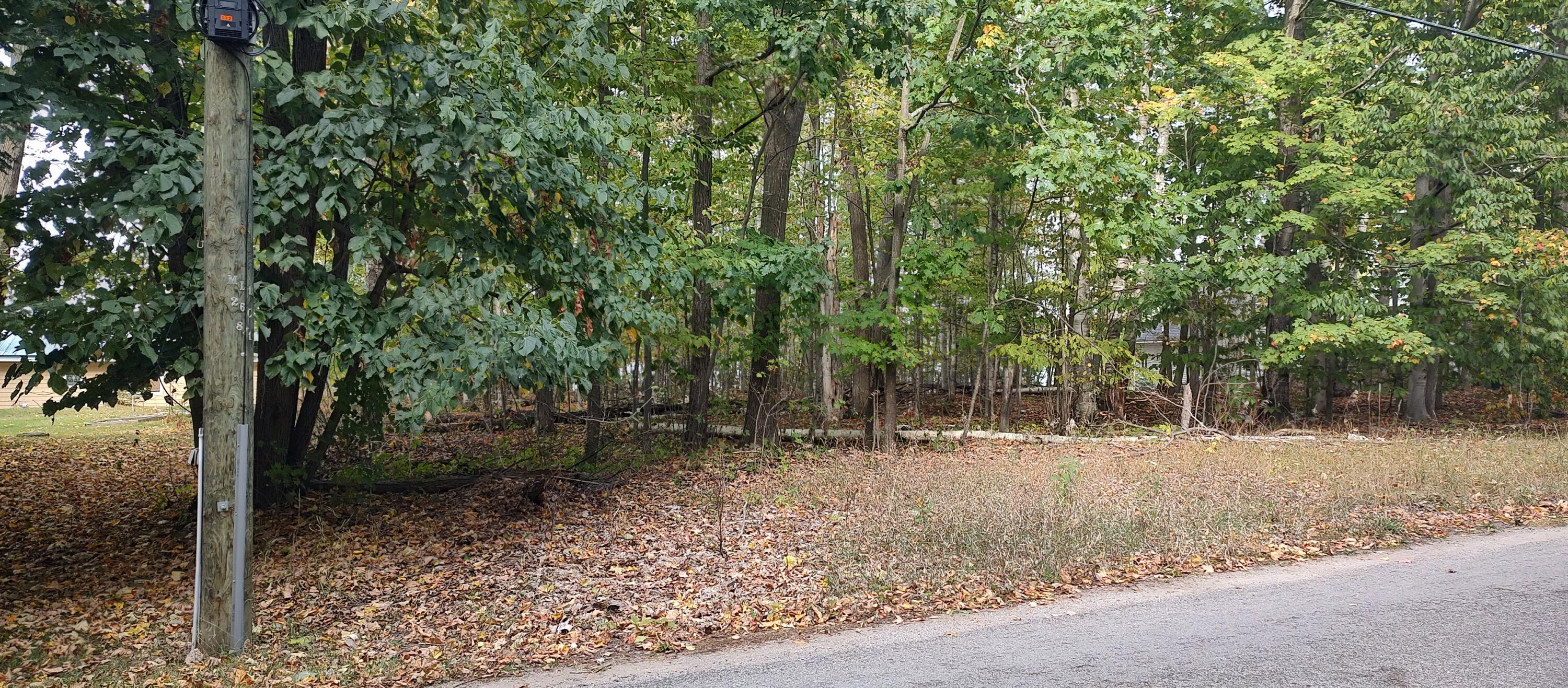 Cheboygan, Michigan 49721, United States, ,Land,Active,40544