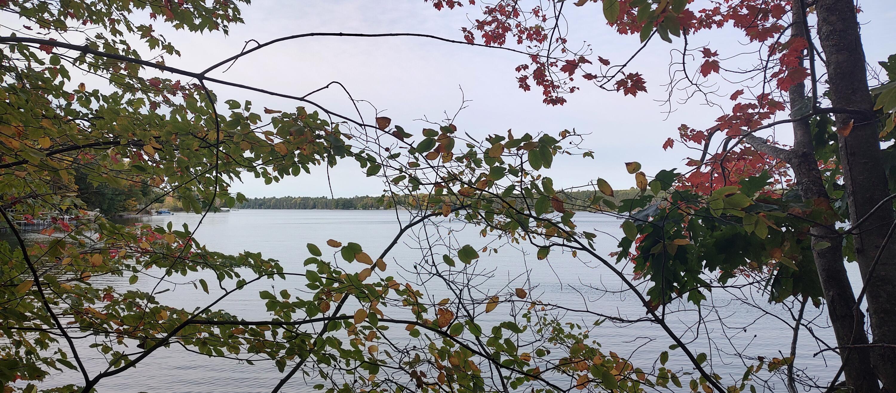 Cheboygan, Michigan 49721, United States, ,Land,Active,40544