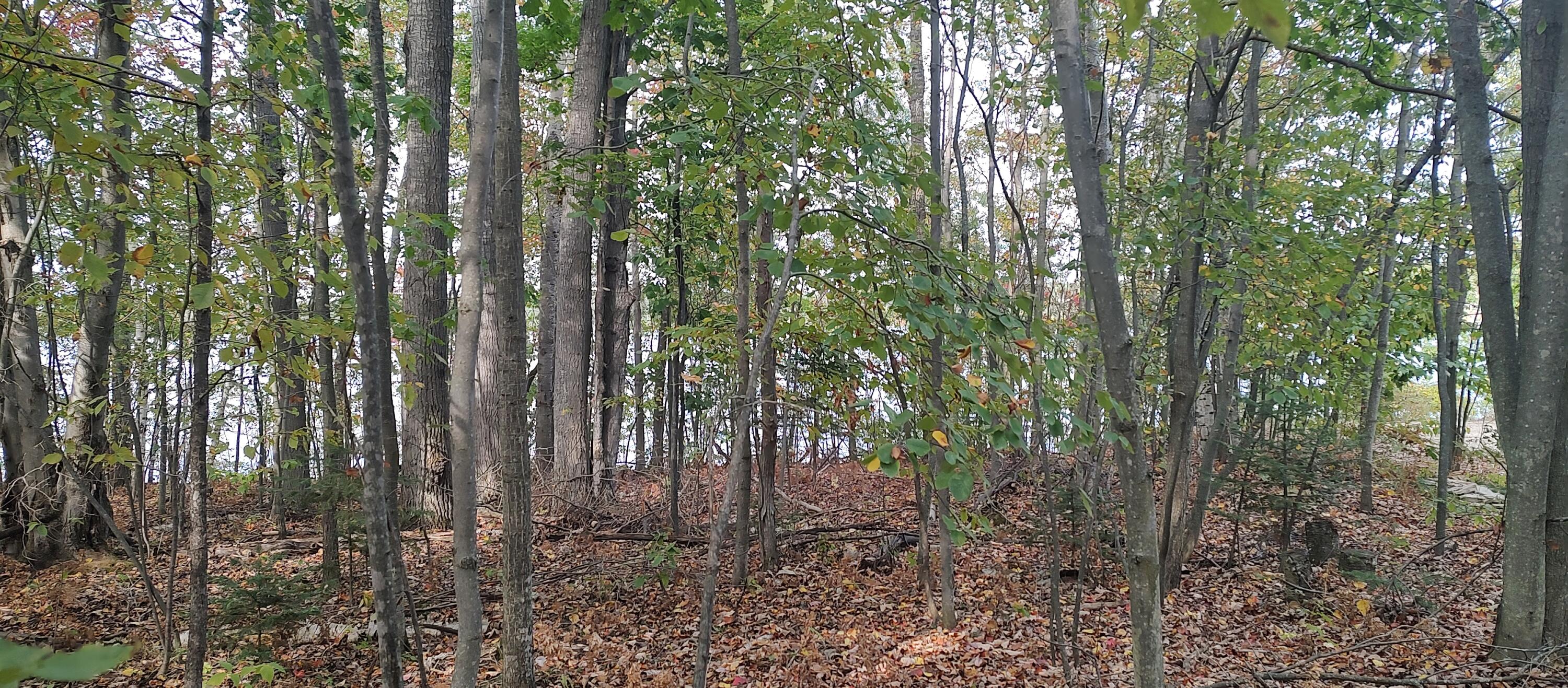 Cheboygan, Michigan 49721, United States, ,Land,Active,40544