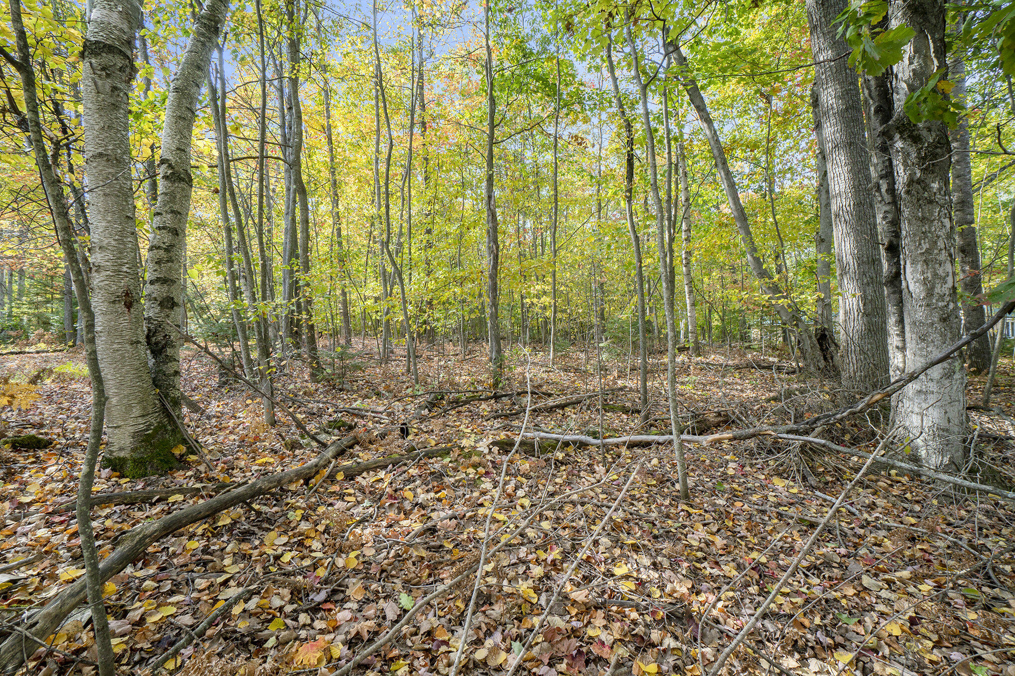 Cheboygan, Michigan 49721, United States, ,Land,Active,40544