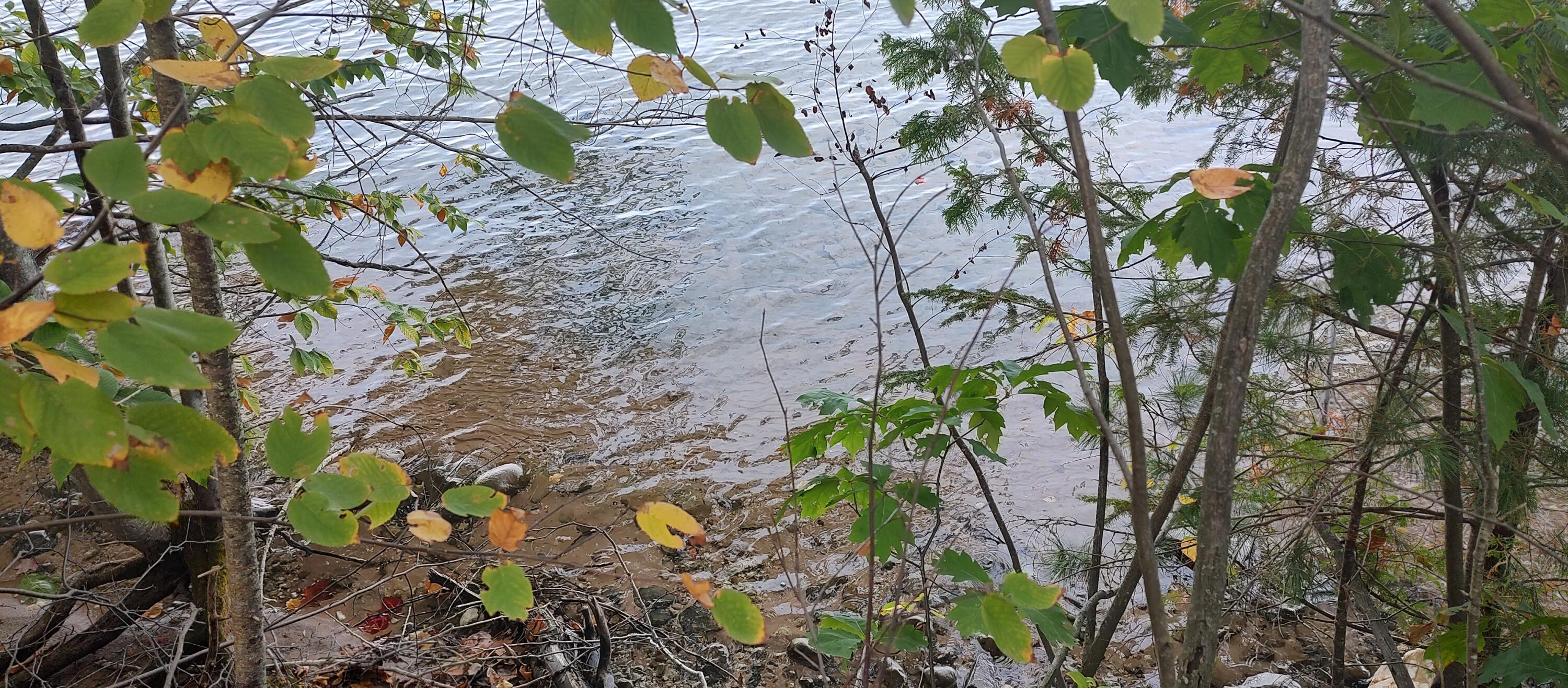 Cheboygan, Michigan 49721, United States, ,Land,Active,40544