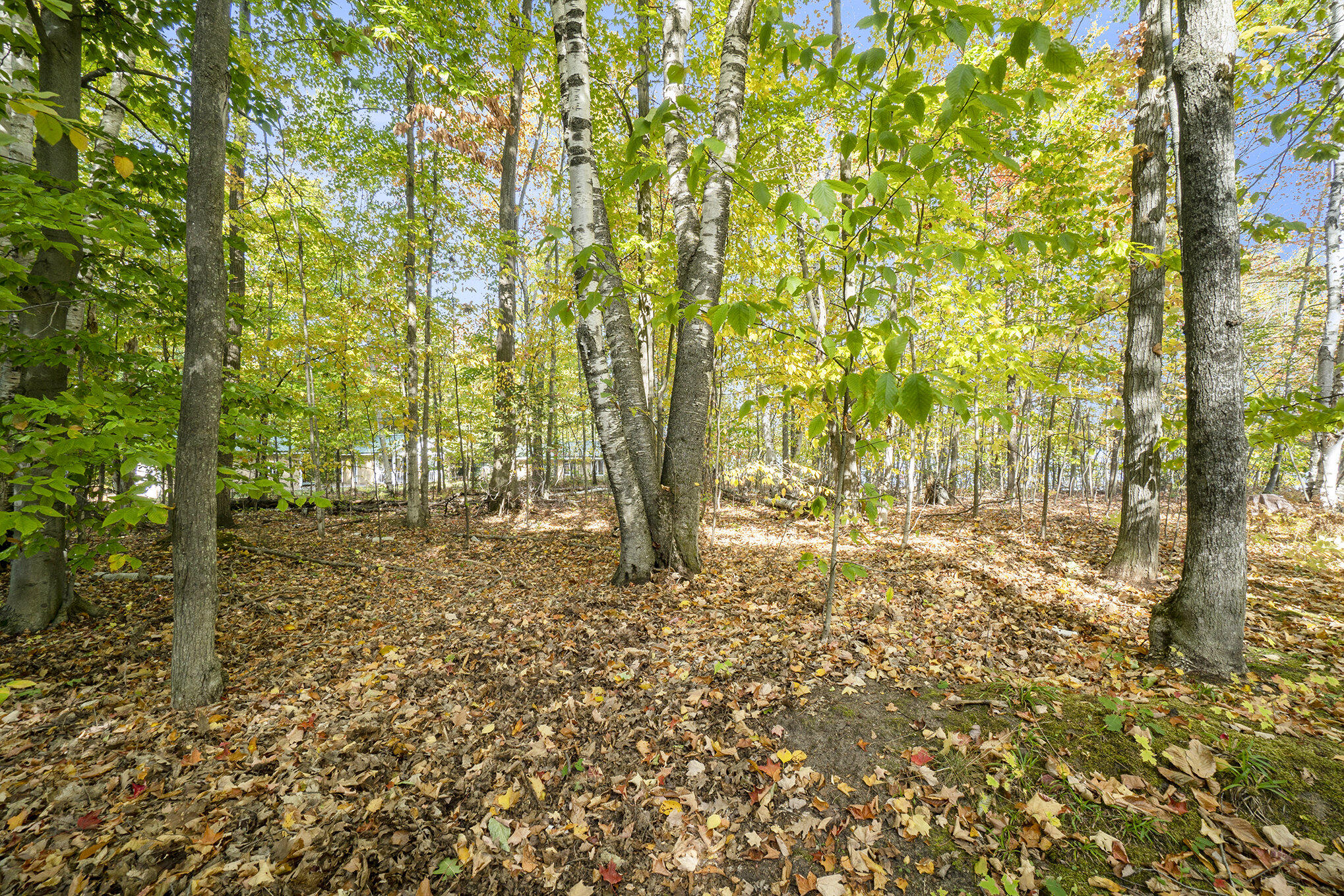 Cheboygan, Michigan 49721, United States, ,Land,Active,40544