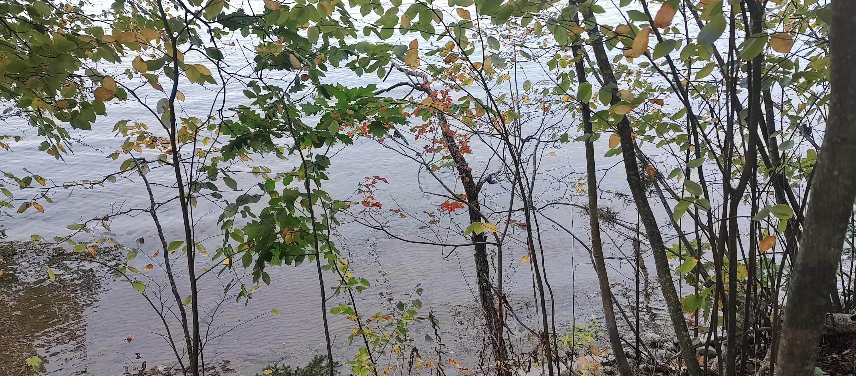 Cheboygan, Michigan 49721, United States, ,Land,Active,40544