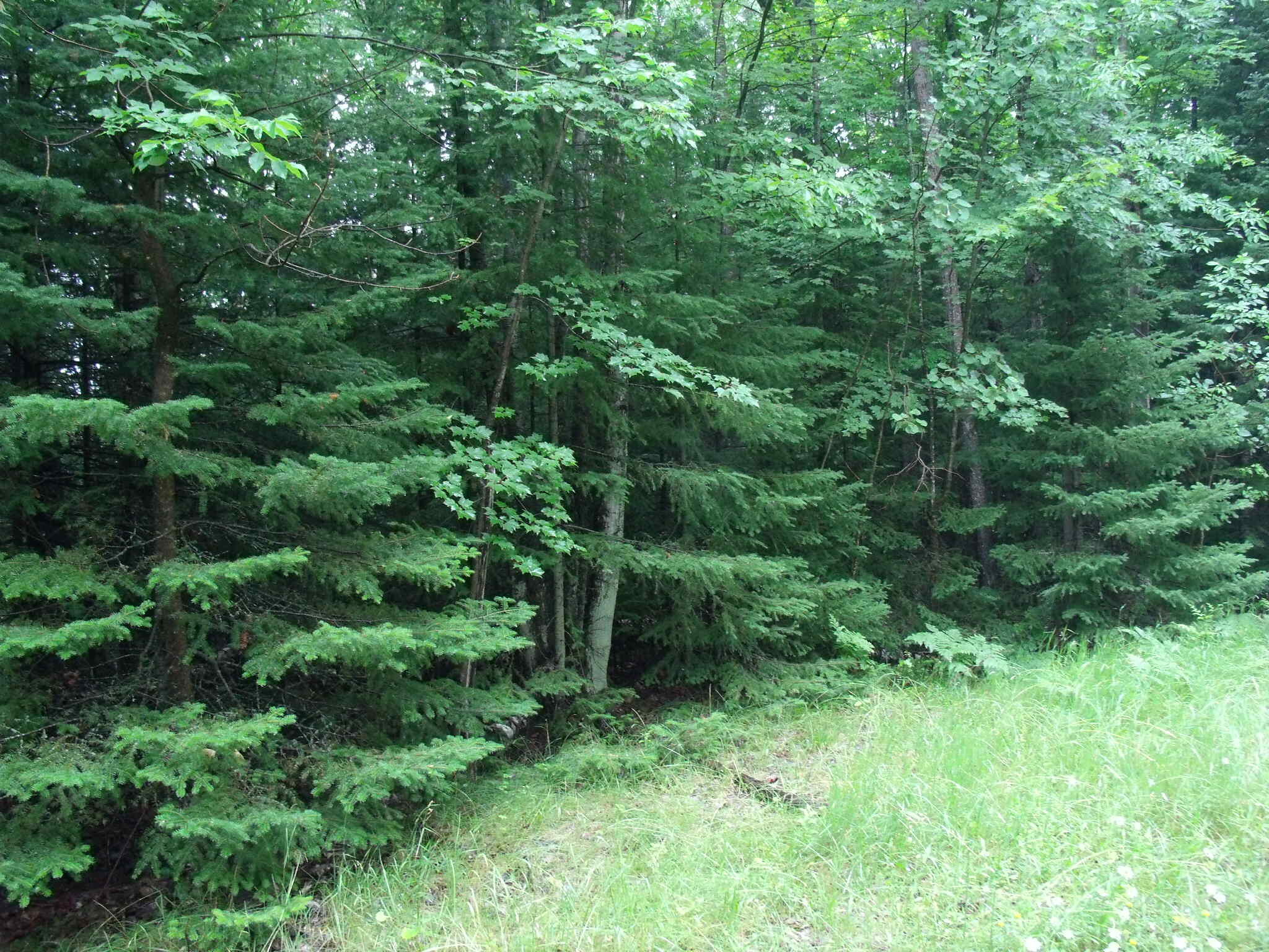 Indian River, Michigan 49749, United States, ,Land,Active,23214