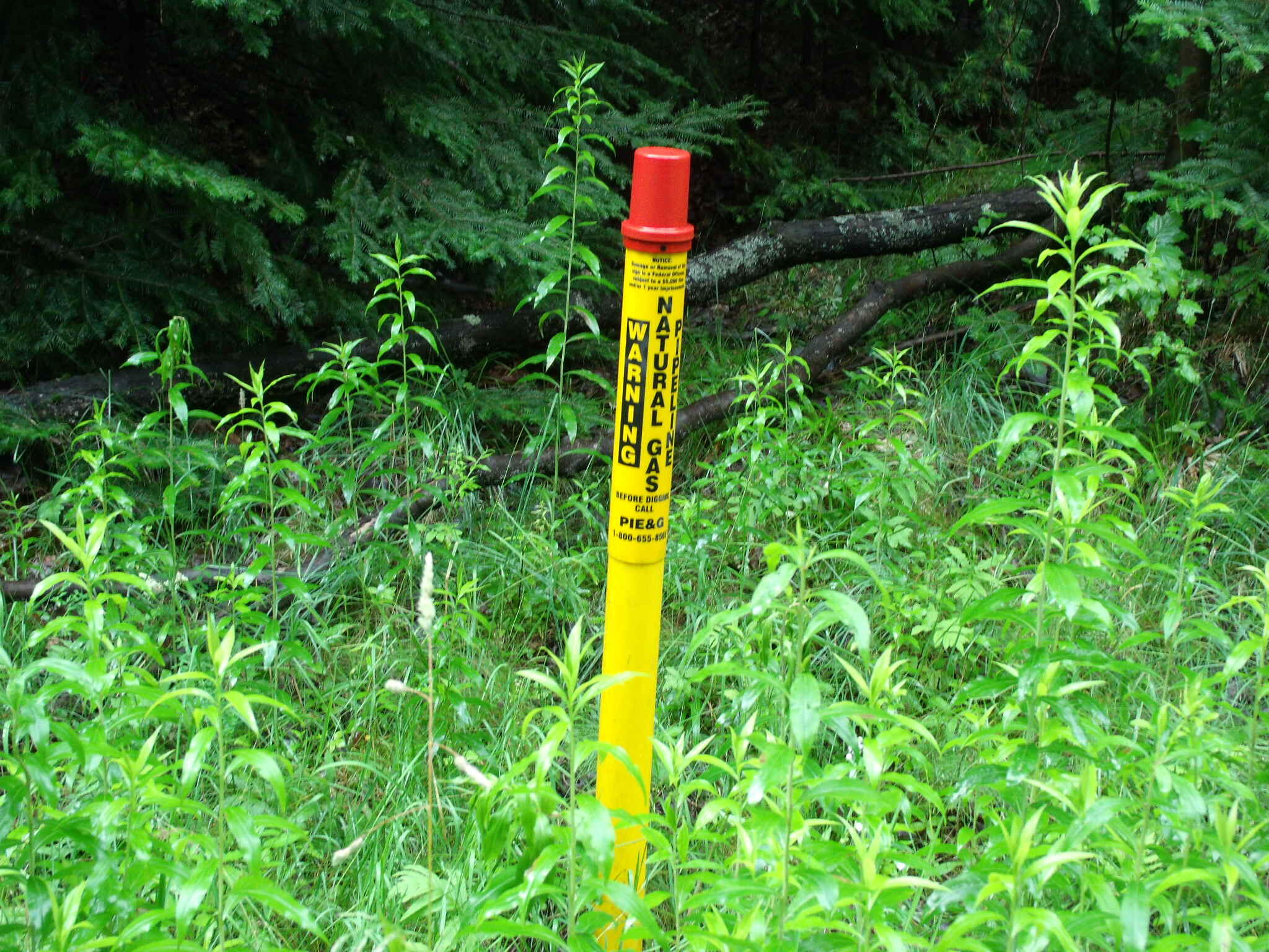 Indian River, Michigan 49749, United States, ,Land,Active,23214