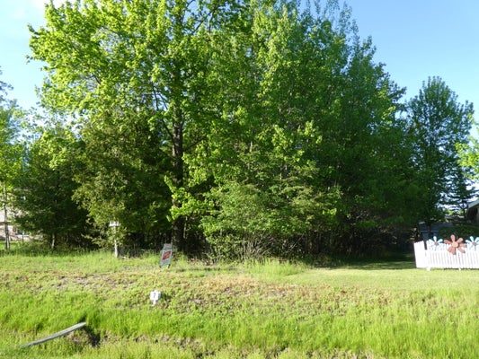 2951 NORALIN DR, ALPENA, MI 49707 - Image e5e87e433e6b714358d73c3f86d985b1/3638968385