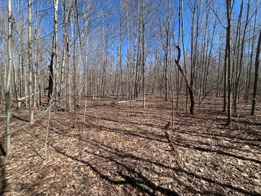 PINE RUN, ELMIRA, MI 49730 - Image 00cebe6320bdb2f1bc6a57beb5ef5af0/1912819117
