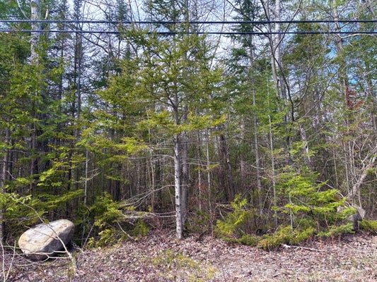 E GRAND LAKE ROAD LOTS 202 & 203, PRESQUE ISLE, MI 49777 - Image 090da6399bc87e516be4ed75adb59647/3920835489