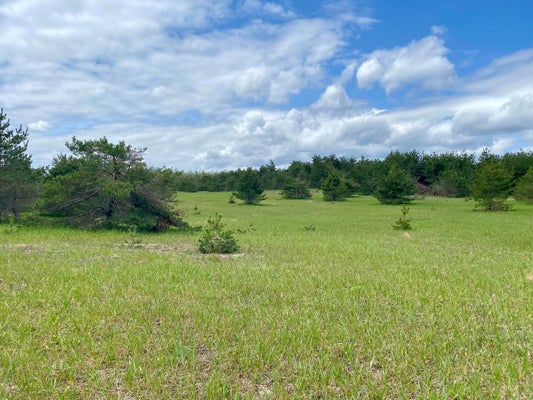 N TOWNLINE RD, GAYLORD, MI 49735 - Image 0b1430fd859ff71cef52bb6d6f0e9bc4/3903200127