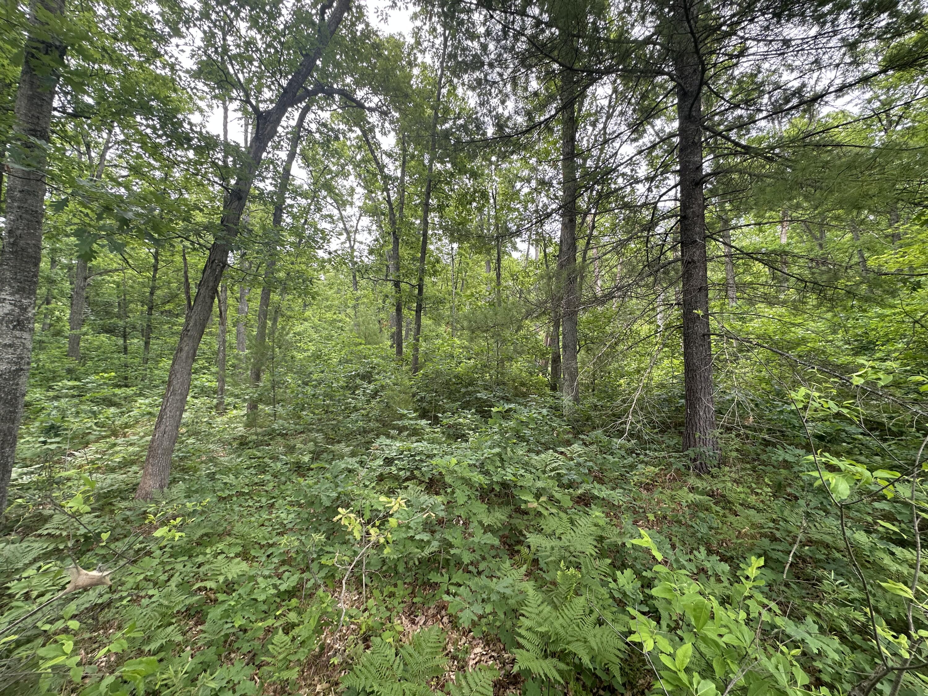Photo 1 of 6 — Skyline Road, Grayling, MI 49738