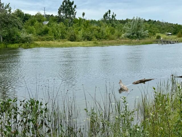 Waters Edge