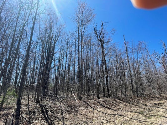LOT 46 LOUISE DRIVE, ELMIRA, MI 49730 - Image 0eb22ab54f1e1dfd78dc53673d3d0420/1671621909