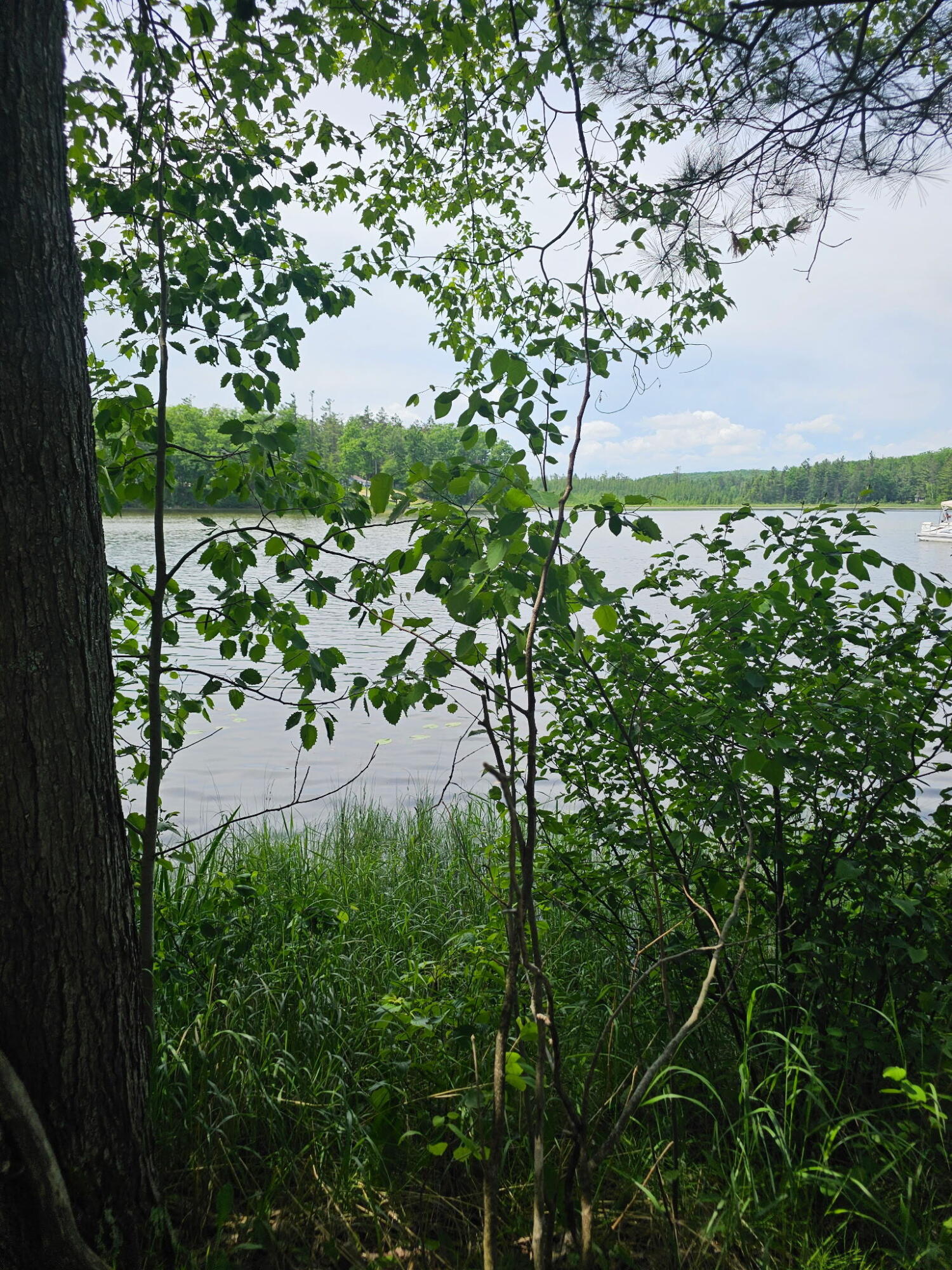 Photo 1 of 12 — 2195 Lake Drive, Mio, MI 48647