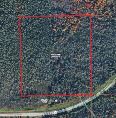 STATE HWY 32, HILLMAN, MI 49746 - Image 14b5a4f2ff8e1ea6d0d75f6d4dda036c/1880175949