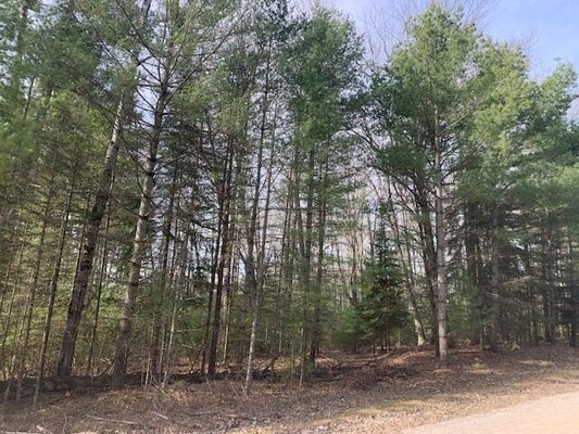 PONDEROSA DR, LACHINE, MI 49753 - Image 152494c8a02b29bbfde03ea337c84c45/2135454953