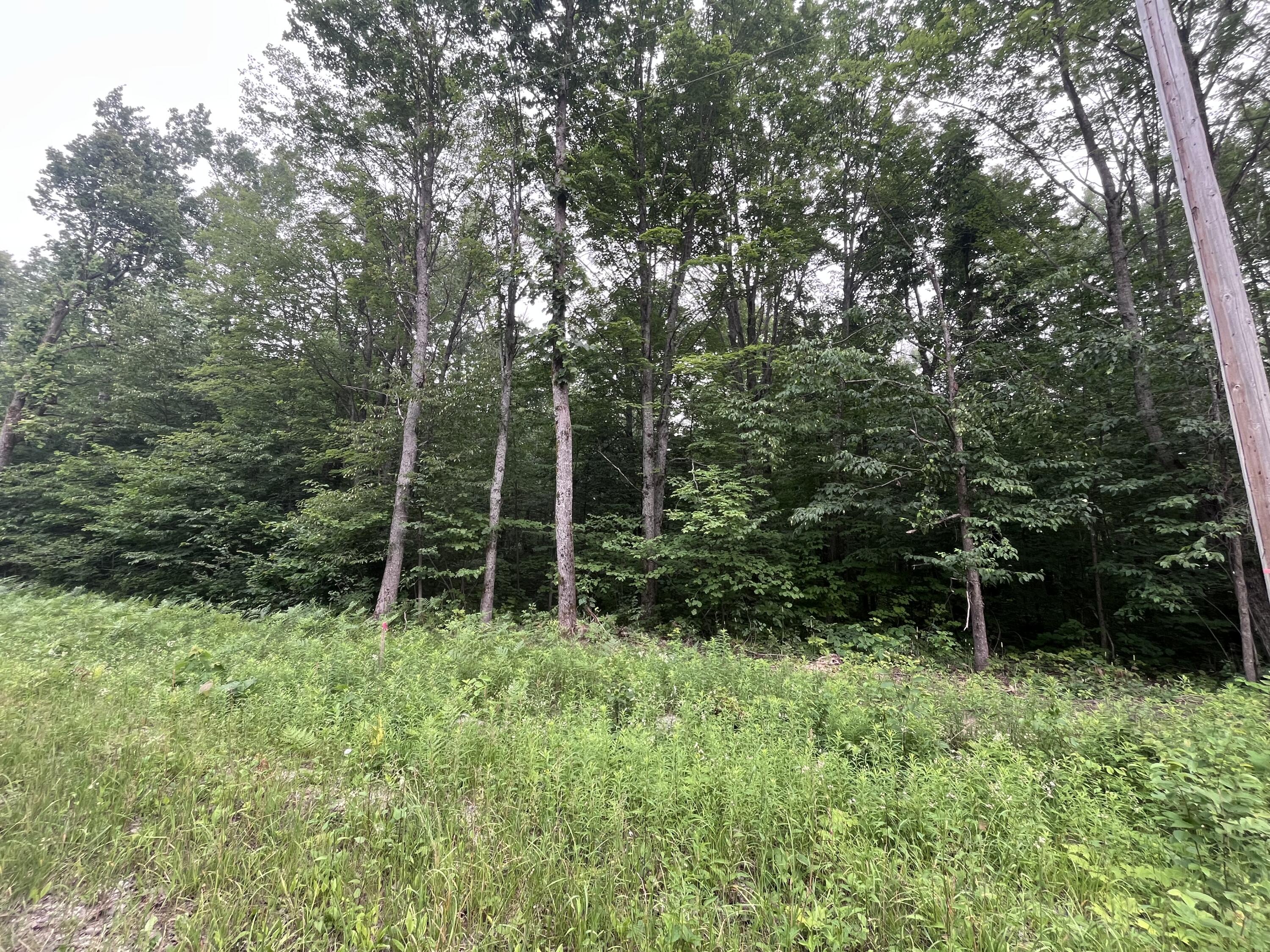 Photo 1 of 9 — 71 Valleyway Drive, Elmira, MI 49730