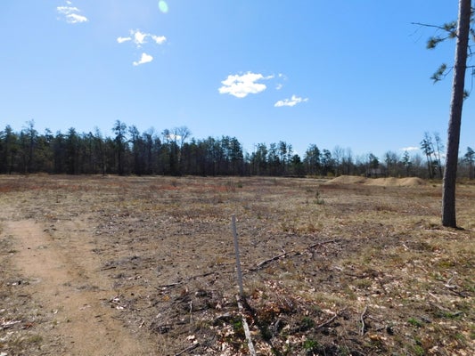 444 N I 75 BUSINESS LOOP, GRAYLING, MI 49738 - Image 1e9a1c13ea7533d73309beaa2d0426fc/149079983
