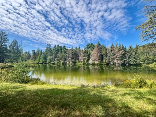 2270 DURFEE RD, LUZERNE, MI 48636 - Image 220d0d63723afe3cbf2ca75a8f8fd10e/3736734360