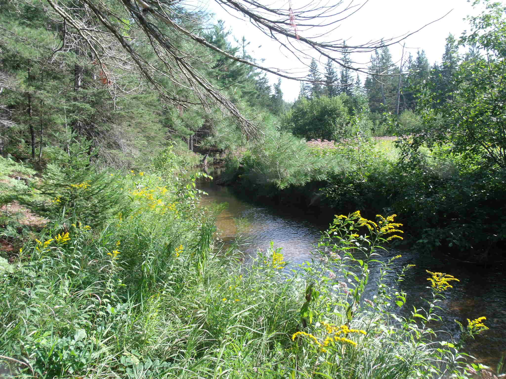 Indian River, Michigan 49749, United States, ,Land,Active,156048