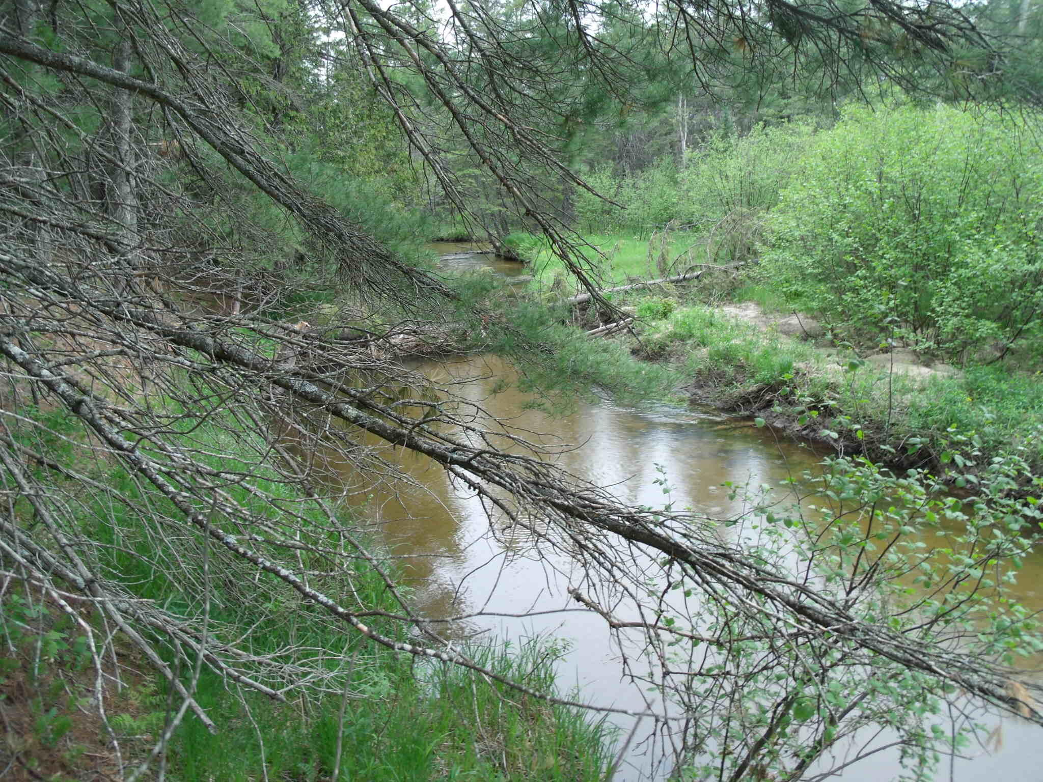 Indian River, Michigan 49749, United States, ,Land,Active,156048