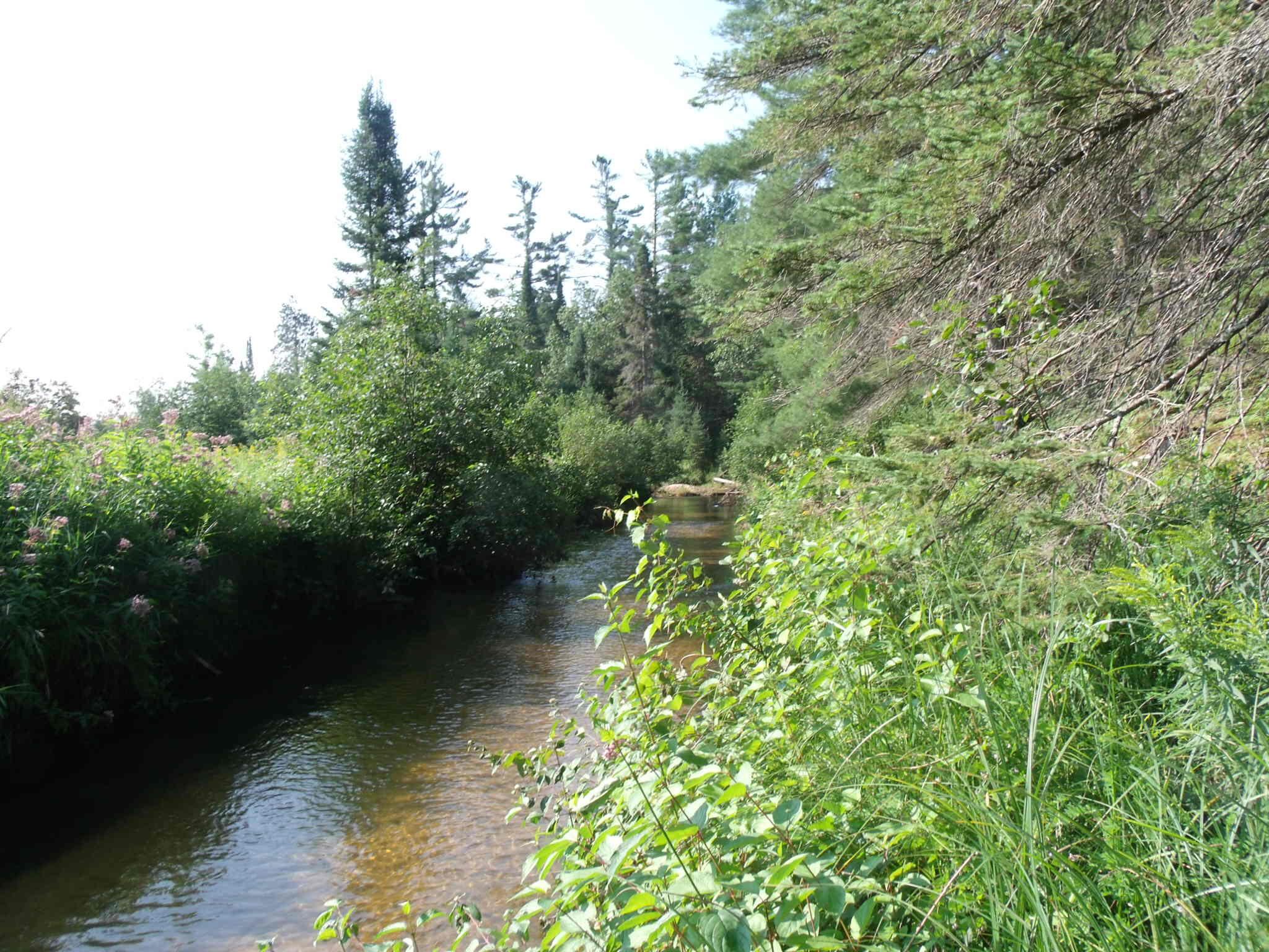 Indian River, Michigan 49749, United States, ,Land,Active,156048