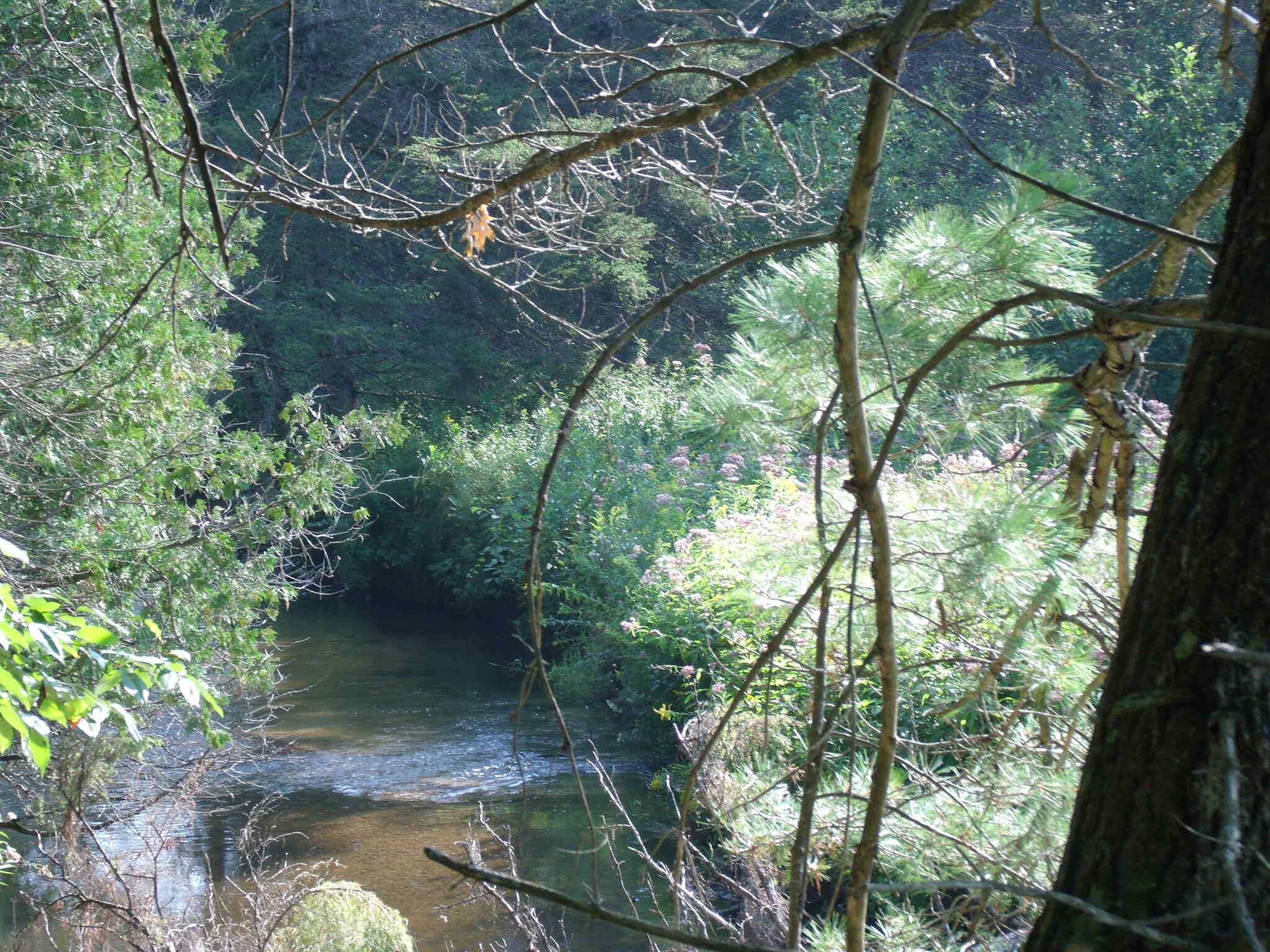 Indian River, Michigan 49749, United States, ,Land,Active,156048