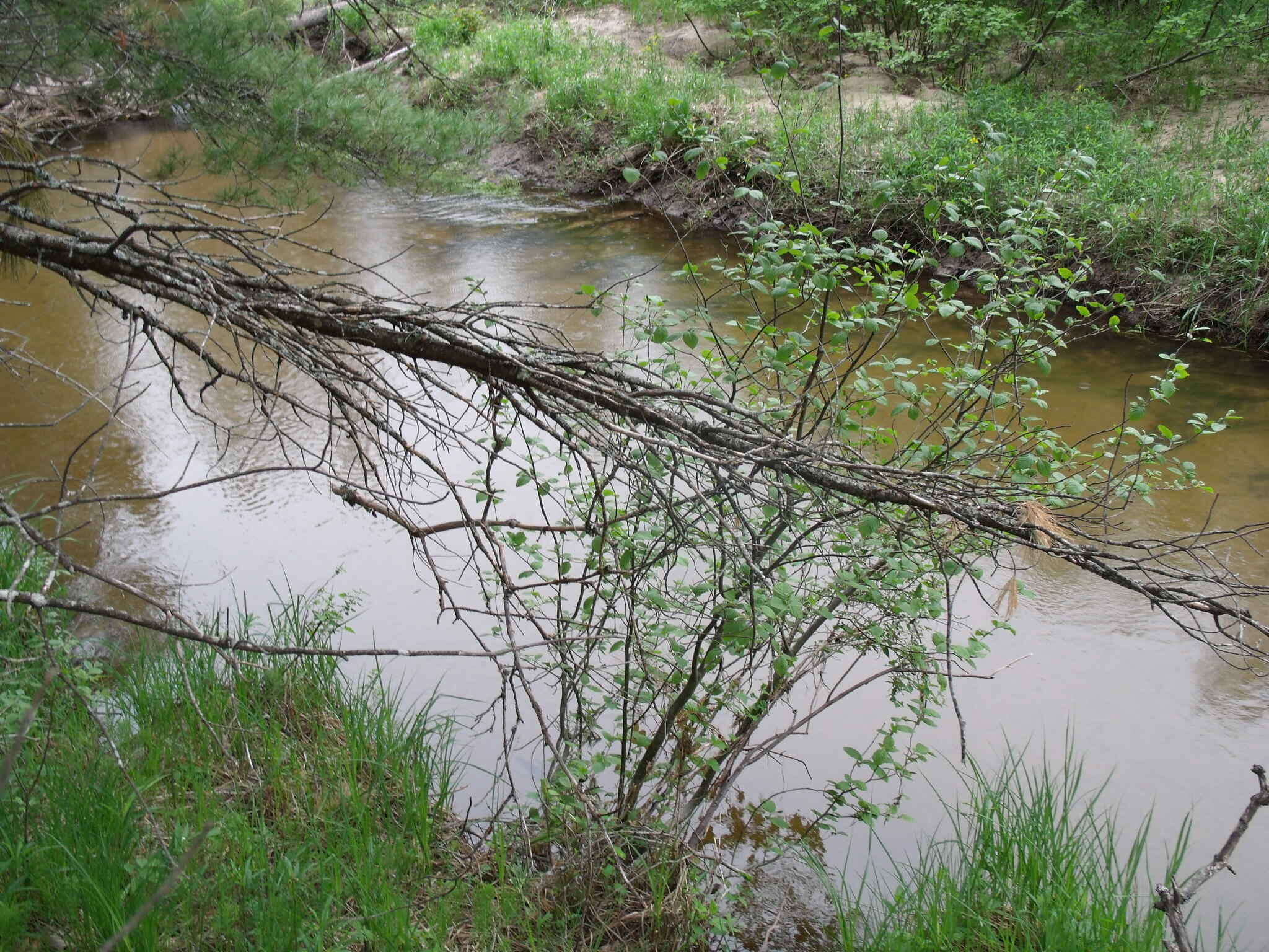 Indian River, Michigan 49749, United States, ,Land,Active,156048