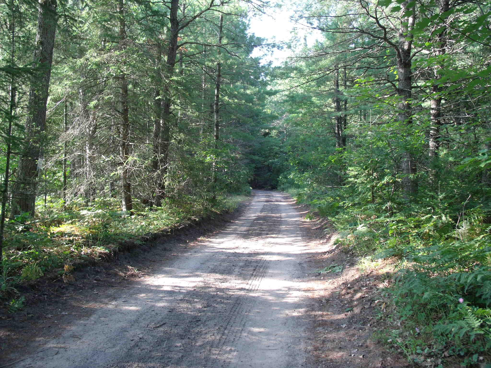 Indian River, Michigan 49749, United States, ,Land,Active,156048