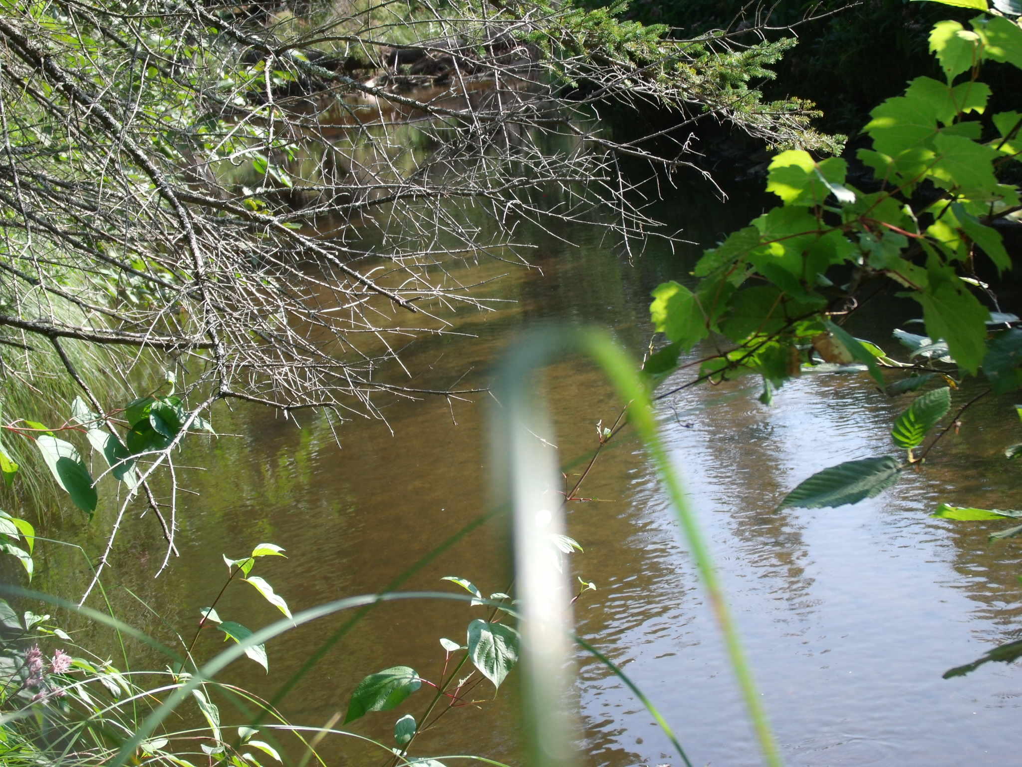 Indian River, Michigan 49749, United States, ,Land,Active,156048