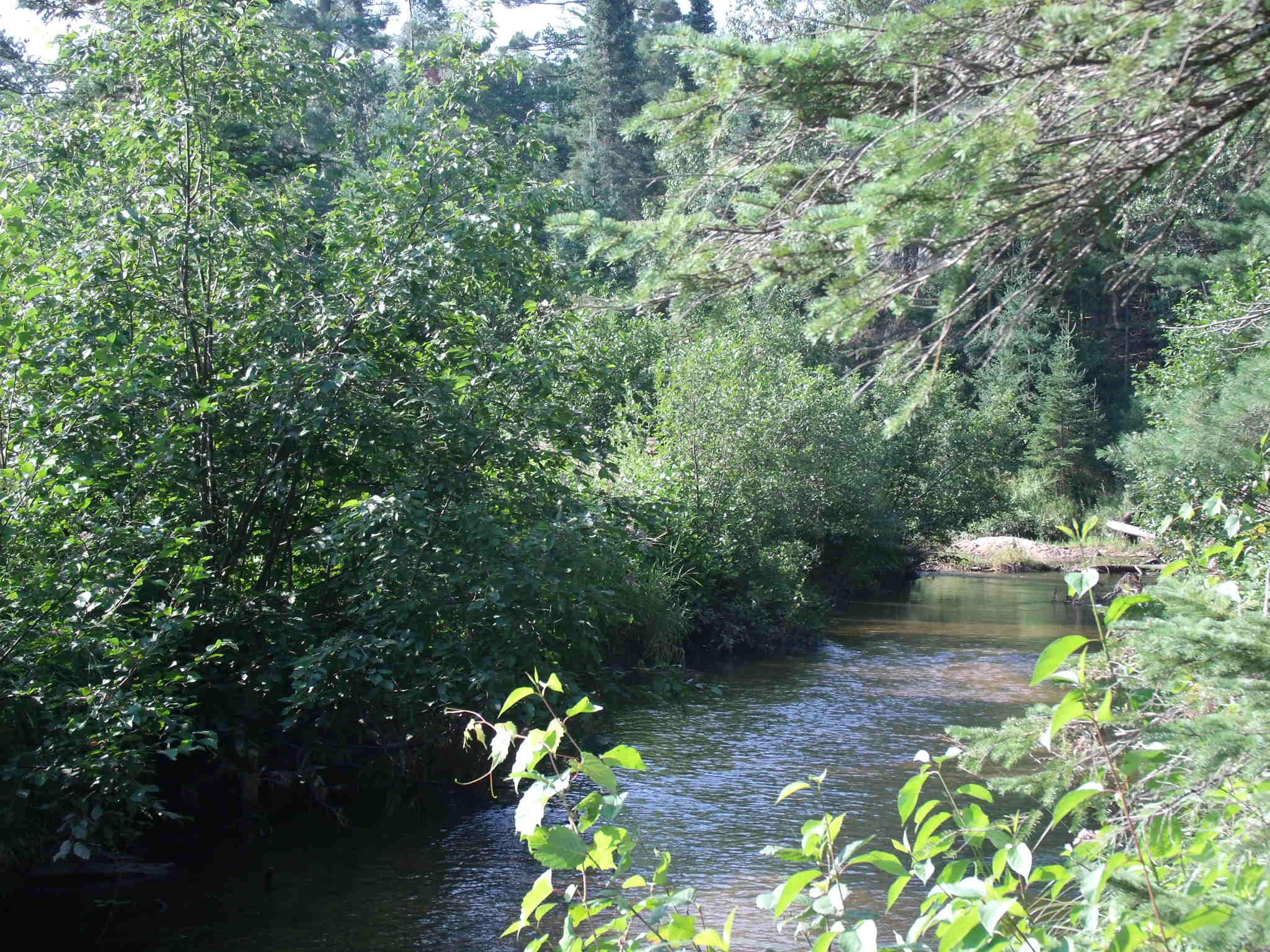 Indian River, Michigan 49749, United States, ,Land,Active,156048