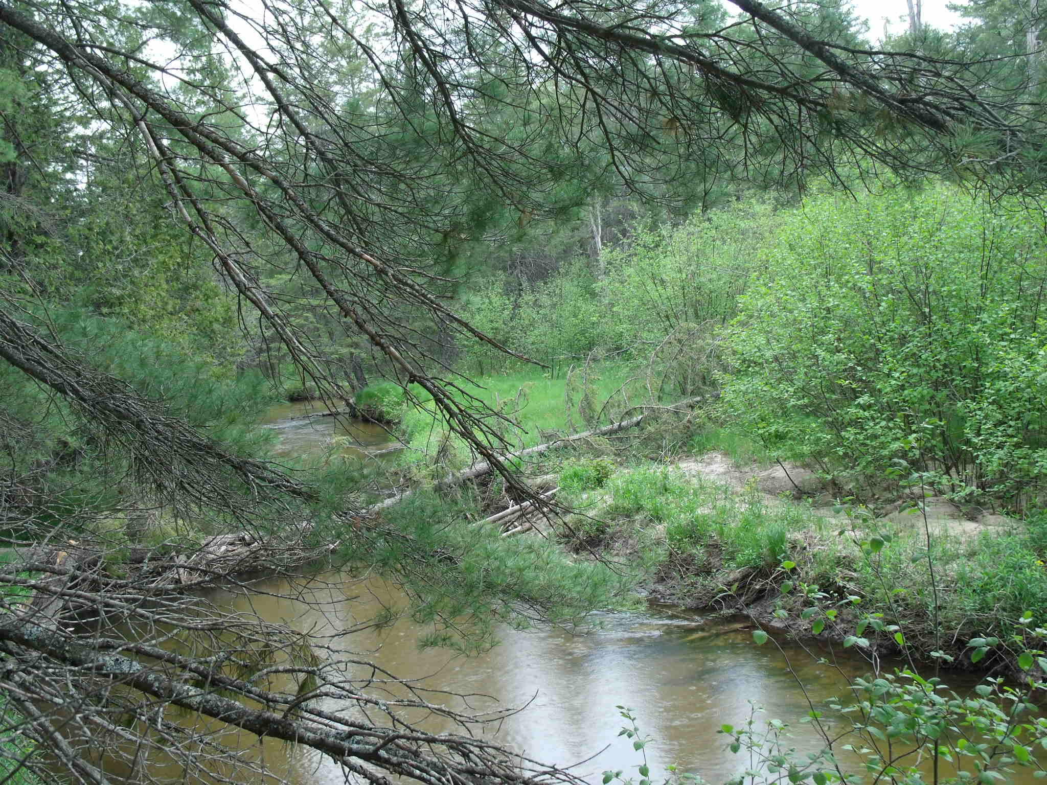 Indian River, Michigan 49749, United States, ,Land,Active,156048