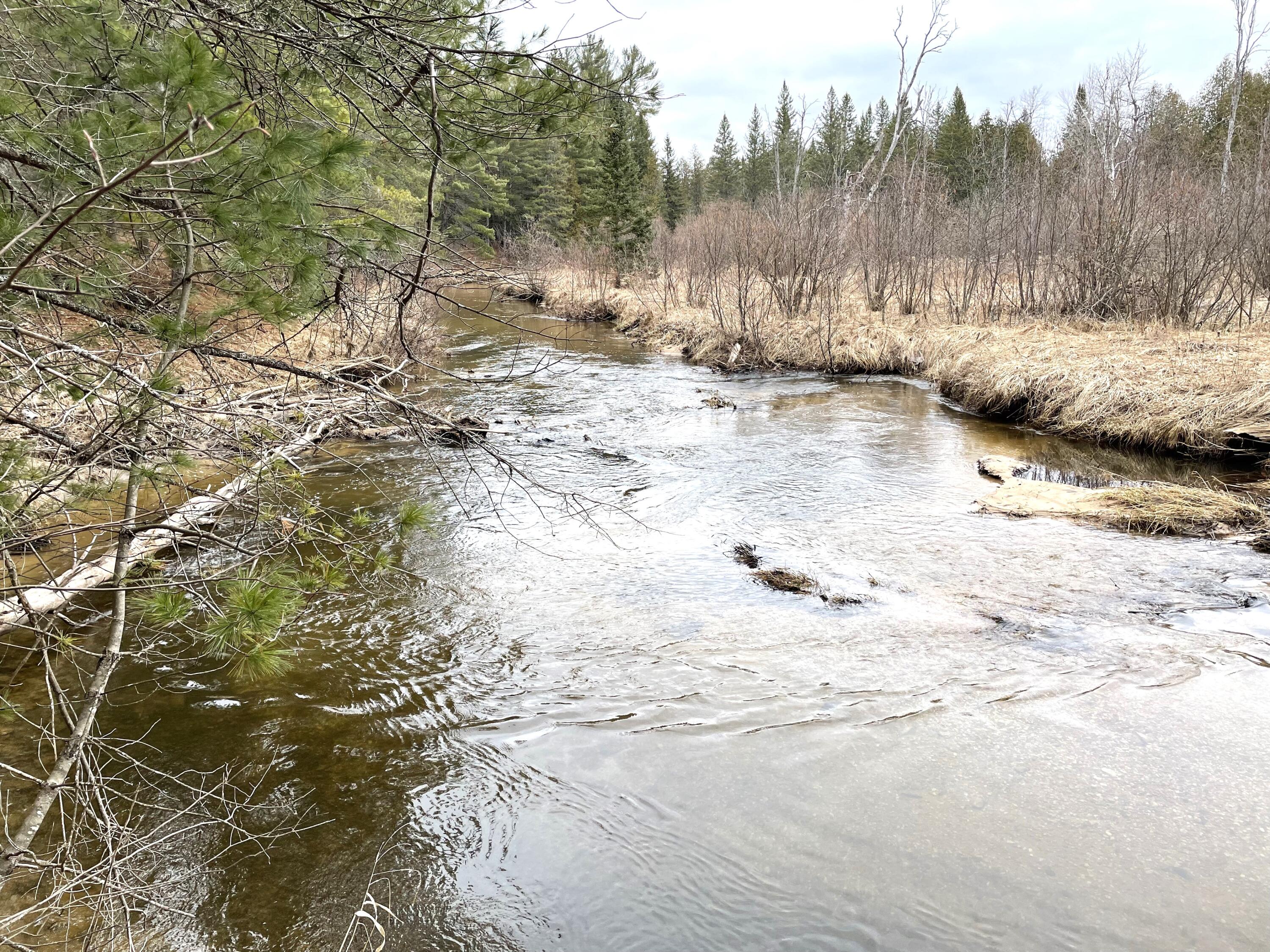 Indian River, Michigan 49749, United States, ,Land,Active,156048