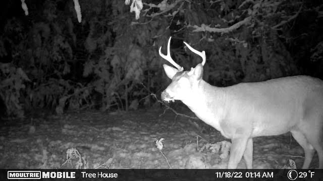 Indian River, Michigan 49749, United States, ,Land,Active,156048