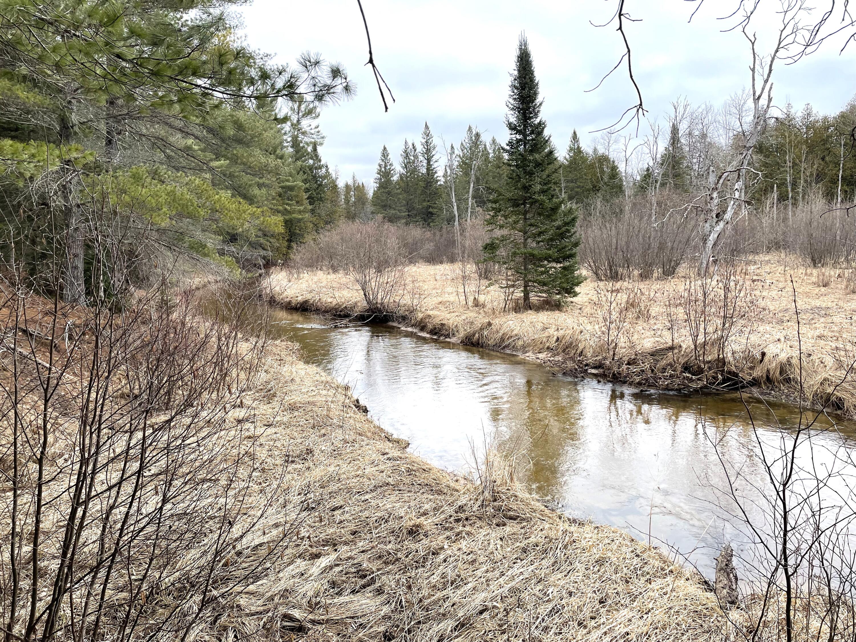 Indian River, Michigan 49749, United States, ,Land,Active,156048