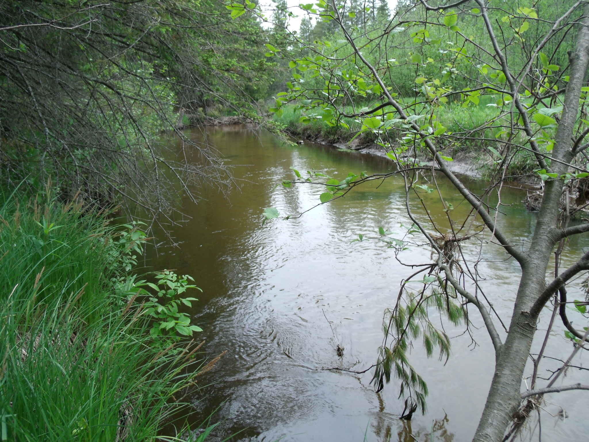 Indian River, Michigan 49749, United States, ,Land,Active,156048