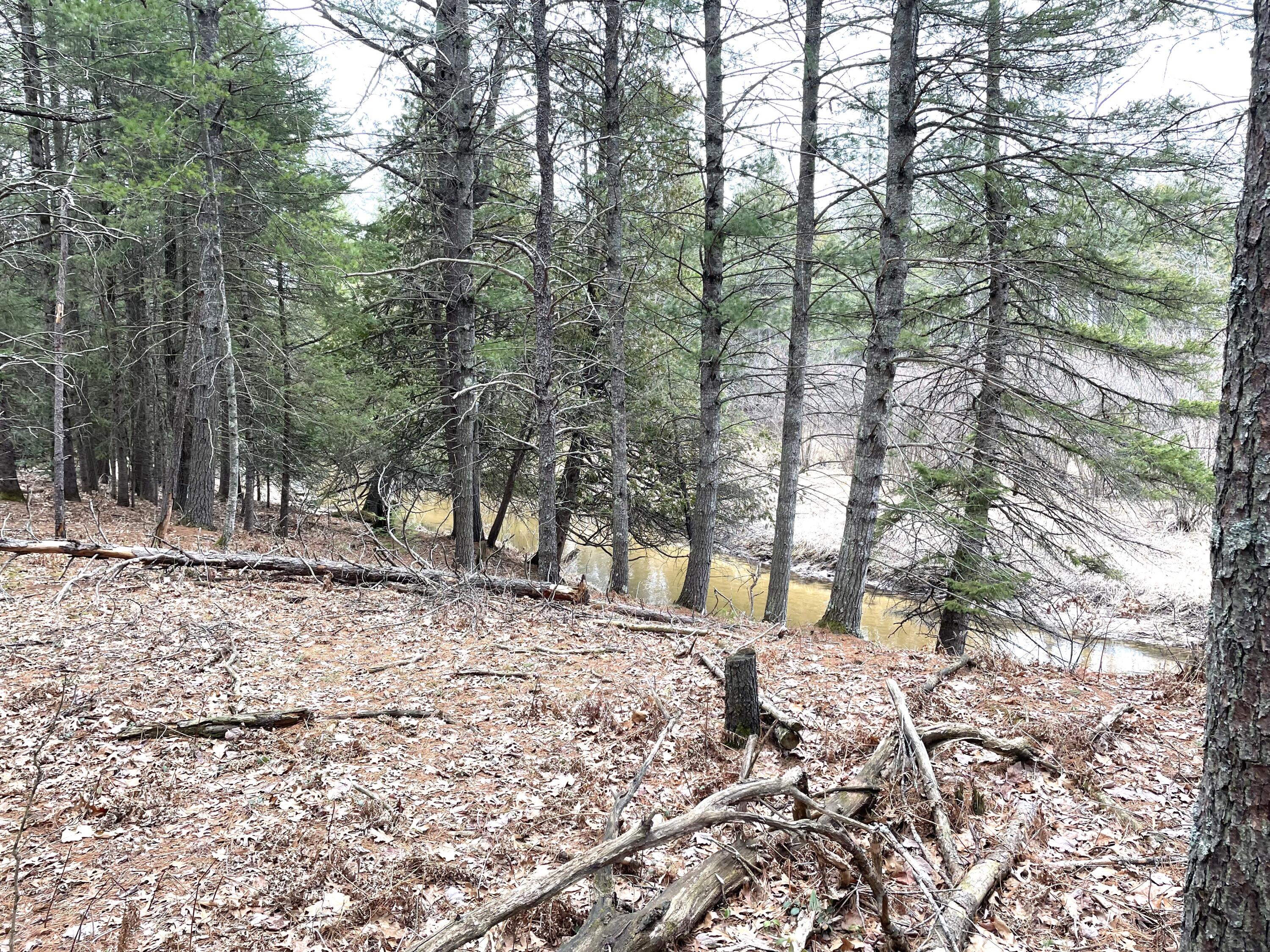 Indian River, Michigan 49749, United States, ,Land,Active,156048