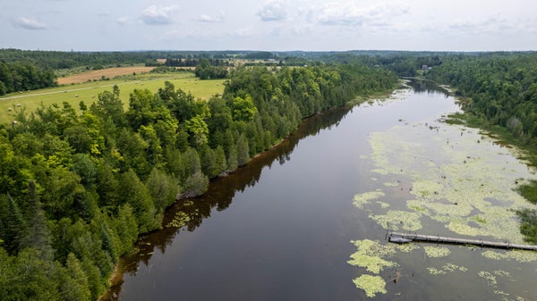 RIVERS RIDGE CT, CHEBOYGAN, MI 49721 - Image 2a91f0e169a2ca0a2ee39af02a0b46a2/559155723