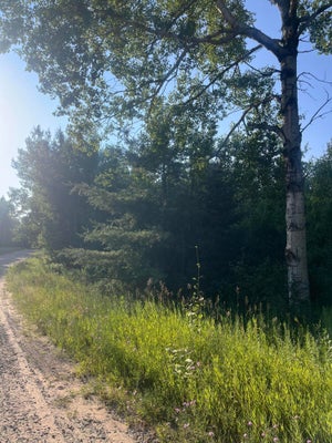 VALLEYWAY DR, ELMIRA, MI 49730 - Image 2d91dc2c73c2a2ee0b561b80b7fb8a35/1916840326