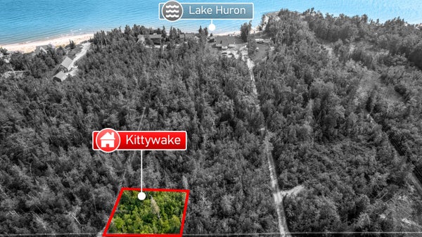 ADDRESS PRIVATE, MILLERSBURG, MI 49759 - Image 2e1d9c3e042cd72474c491effea31358/3832432256