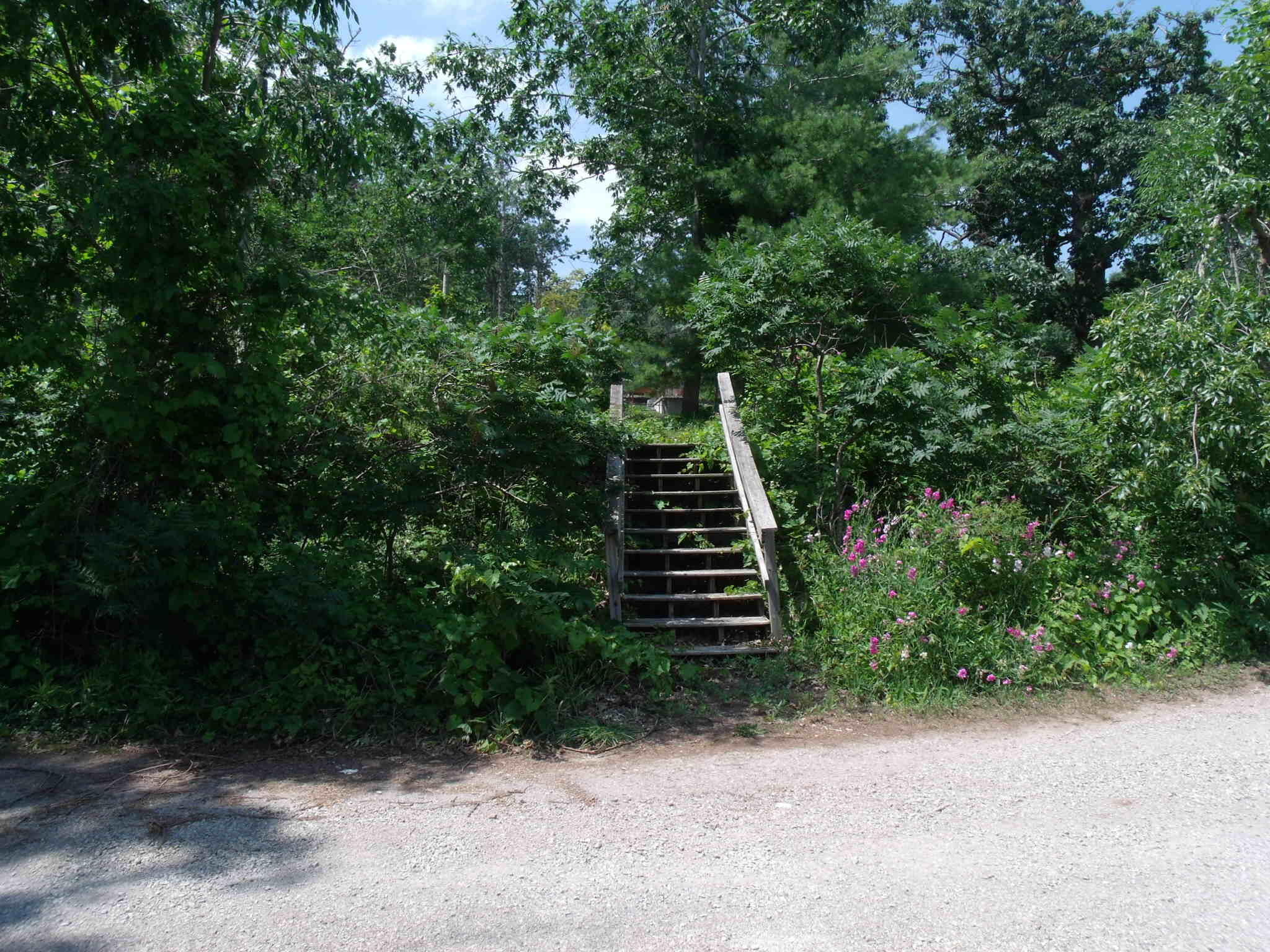 Topinabee, Michigan 49791, United States, 4 Bedrooms Bedrooms, ,2 BathroomsBathrooms,Residential,Active,169529