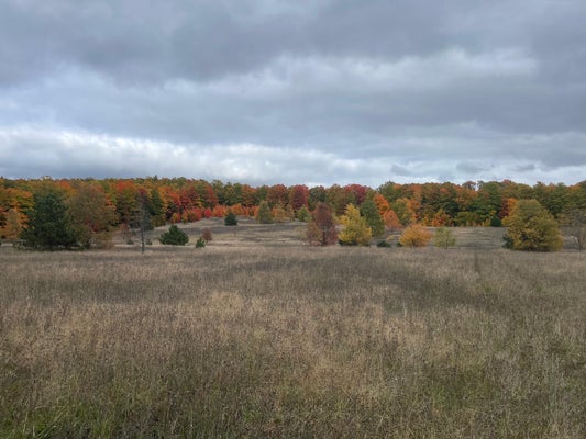 HOLIDAY RD, WOLVERINE, MI 49799 - Image 43edbddb1551d2f4f5d511acfe4285bf/973970814