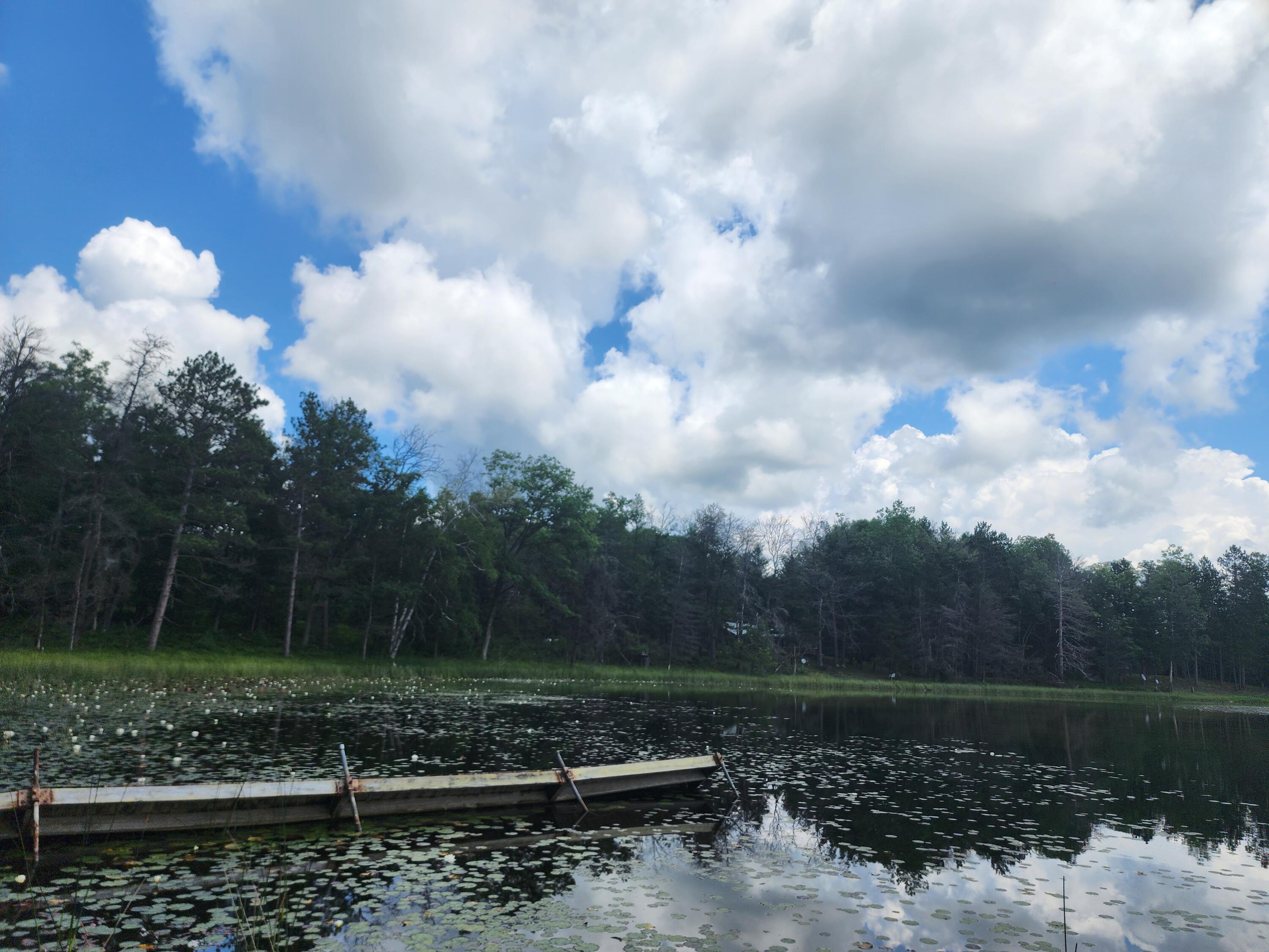 3150 Saddleback Lake Road